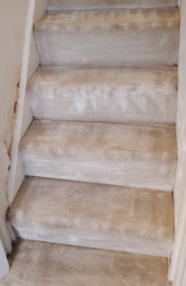 Carpet Cleaner Essex